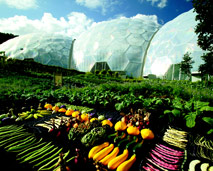 Eden Project