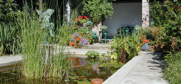 Pond at the Lost Gardens of Heligan