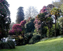Heligan